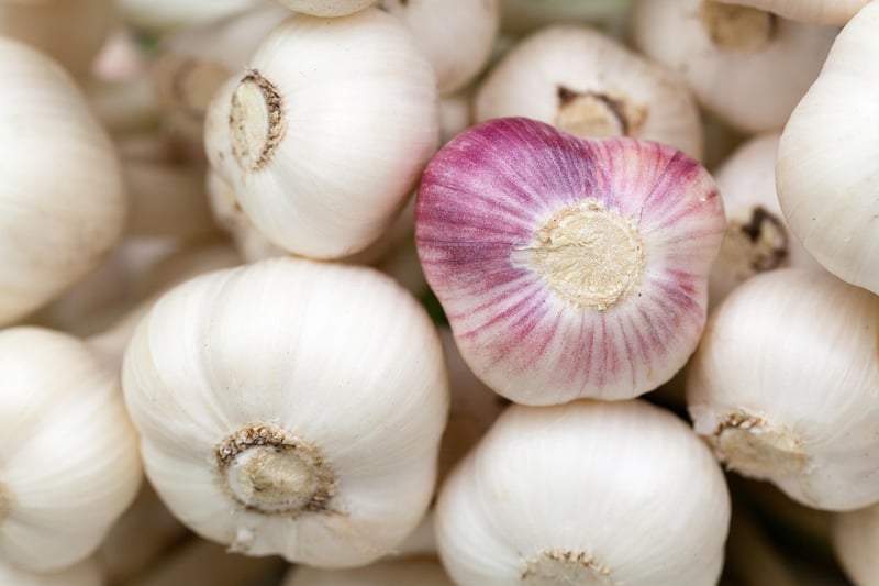 Lemon and Garlic